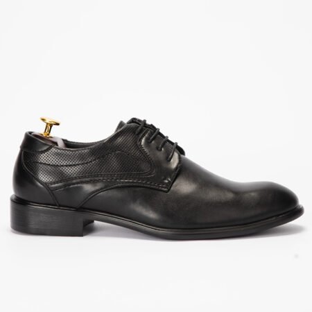 Tony p. Derbies - C2958-2